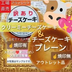 ◯クリーミーチーズケーキ ⭐️チーズケーキ プレーン 各５号 大阪前田製菓のサムネイル