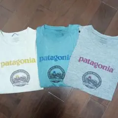 patagonia Tシャツ Mサイズ 3色セット