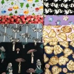 生地　まとめ売り★8枚セット★50㎝×8