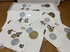 Item thumbnail for item 5fd26bb9-a1e8-455a-8e64-9f516b1d6362