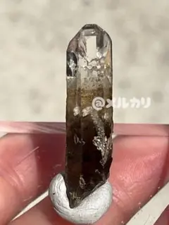 2026年最新】南洋美人の人気アイテム - メルカリ