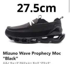 (27.5) mizuno wave prophecy moc