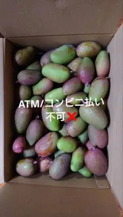 宮崎県産摘果マンゴー グリーンマンゴー6kg - メルカリ