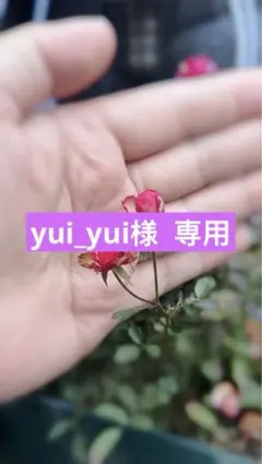 yui_yui様 リクエスト 3点 まとめ商品