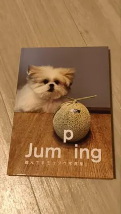 Jumping 跳んでるモコゾウ写真集