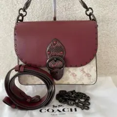 Item thumbnail for item 501e729e-ed14-437b-9922-6a681388e773