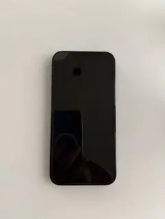 【美品】Apple iPhone 12 Pro Maxブルー512GB