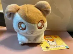 新品タグ付き　ぬいぐるみ とっとこハム太郎　1番くじ　B賞