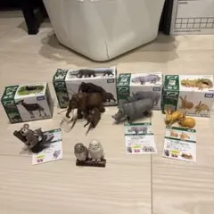 アニア　廃盤　まとめ売り