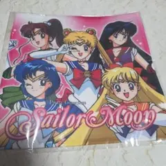 Item thumbnail for item 211a1052-1c27-4c90-84e3-ec001a91ee41