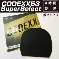 Item thumbnail for item 72be813d-e72f-49c7-b4ff-dd891f9ee392