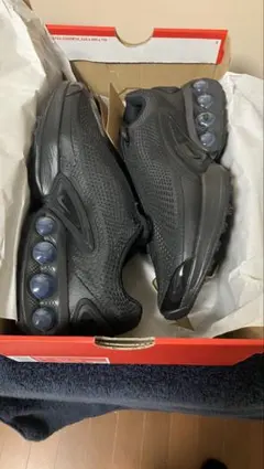 【新品】Nike Air Max DN ブラック　24.5cm