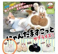 こゃんたますこっと サプライズ！ ボールチェーンマスコット サバトラ 2個