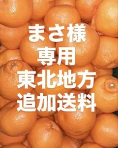 まさ様　専用　東北地方　追加送料