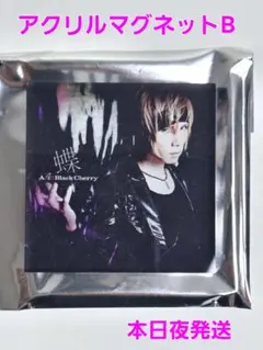 Acid Black Cherry アクリルマグネットB 蝶 ABC yasu