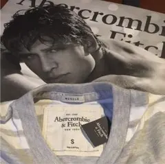 アバクロンビー&フィッチMENS VネックTシャツ