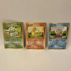 ポケモンカード 旧裏面 フシギダネ ヒトカゲ ゼニガメ 3枚セット