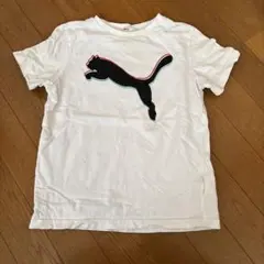 PUMA ホワイト Tシャツ サイズ152