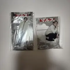 なにわ男子 道枝駿佑 マルス ゼロの革命 セット