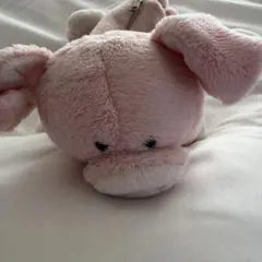 NICI ぶたぬいぐるみペンケース