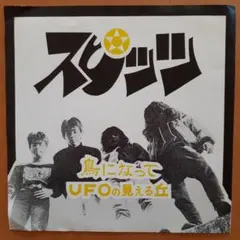 2025年最新】spitz レコードの人気アイテム - メルカリ
