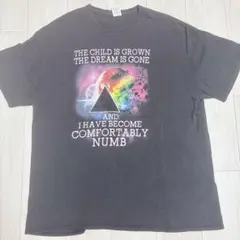 00s バンドT PINK FLOYD 狂気 Tシャツ DELTA メキシコ製L - メルカリ