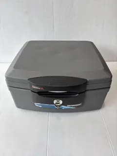 2026年最新】SENTRY H2100の人気アイテム - メルカリ