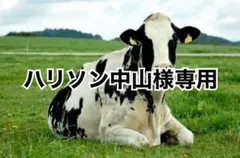 ブラウンレオパード　180cm×4