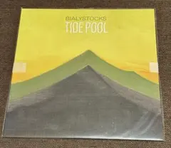Bialystocks TIDE POOL アナログ盤 メガジャケ付き