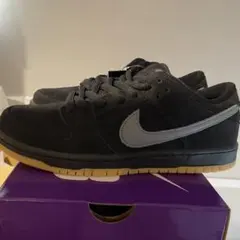 Nike SB Dunk Low Pro 