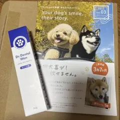 ドクターデンタルワン 犬用口腔ジェル 30g ビーフ味MADE IN JAPAN