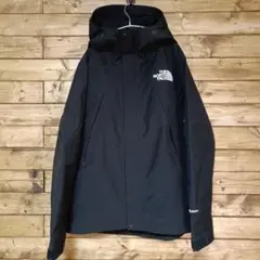 極美品 THE NORTH FACE マウンテンジャケット L np61800