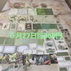D584】mimosa様 デザインペーパー 624 - メルカリ
