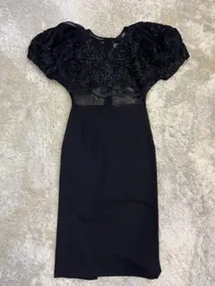 alice+olivia レース切替ドレス XS alice+olivia レース切替ドレス XS - メルカリ