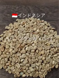 【生豆500g】インドネシア バリ アラビカG-1 SCAA81点 コーヒー生豆のサムネイル