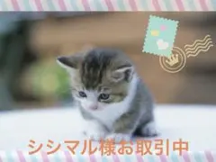 シシマル様 リクエスト 2点 まとめ商品　樹脂ポスト