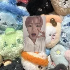 nctwish サクヤ トレカ Weverse特典