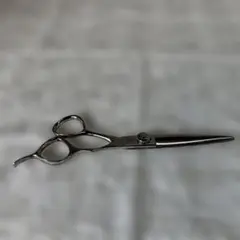 2025年最新】mizutani シザーの人気アイテム - メルカリ