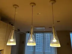 2026年最新】flos fucsiaの人気アイテム - メルカリ