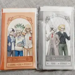 【匿名配送】Dr.STONE 読書の秋編 フラットポーチ 2種セット