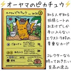 【PSA1】オーヤマのピカチュウ 2026年最新】オーヤマのピカチュウの人気アイテム - メルカリ
