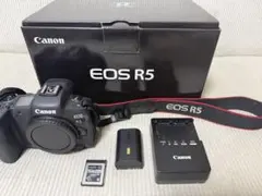 ✨予備電池付✨Canon EOS R5 18-135mm USMレンズ✨ - メルカリ