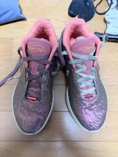 ナイキ レブロン21 25.5cm Nike LeBron21 バッシュ
