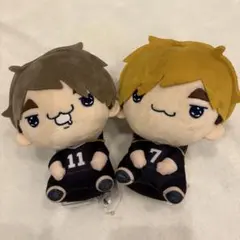 ハイキュー　もちぴこ　ぬいぐるみ　宮侑　宮治