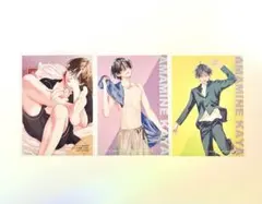 春の嵐とモンスター　カード　特典セット