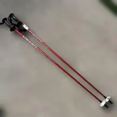 Item thumbnail for item 1f3f8b1b-7040-4af9-8a62-593f7b89484c