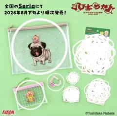 こびとづかん　Seria　3点セット