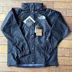 THE NORTH FACE マウンテンレインテックスジャケット　Ｌサイズ