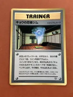 2026年最新】キョウの忍者ジムの人気アイテム - メルカリ