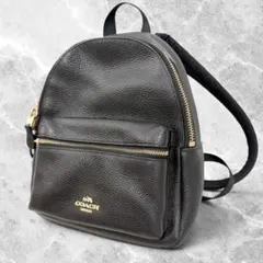 coach コーチ リュック Cロゴ ポリッシュド ペブル ターンロック シボ